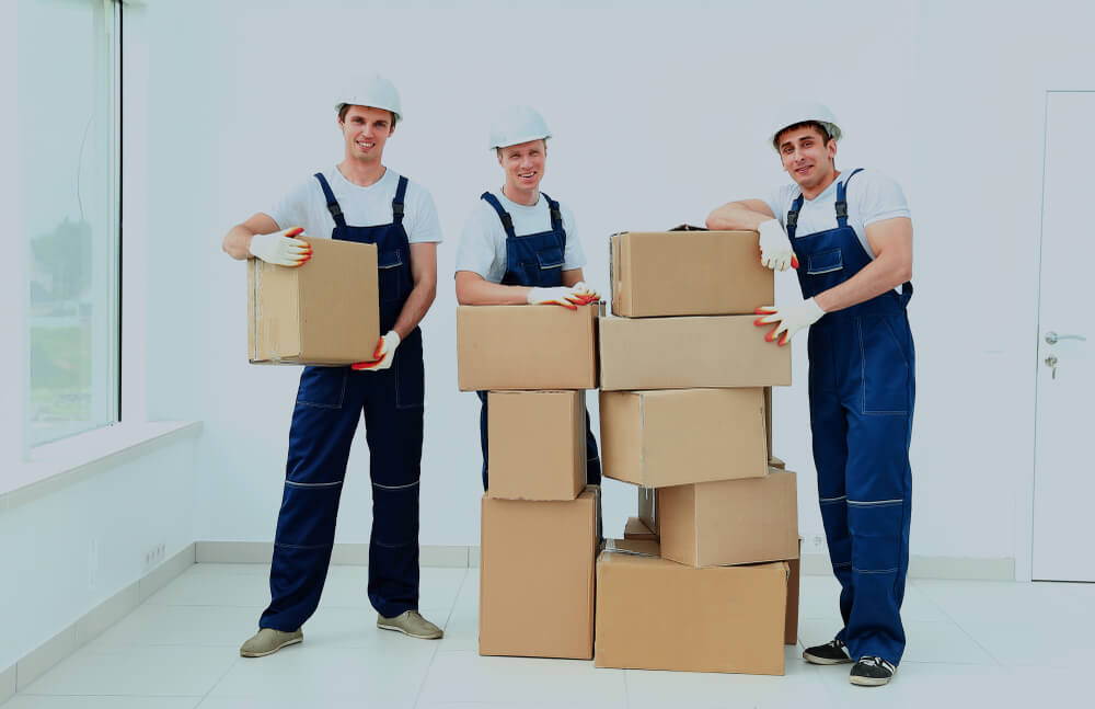 Instant Delivery of Exclusive Leads